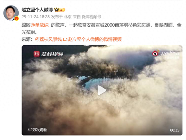 赵立坚发微博推荐宣城落羽红杉林