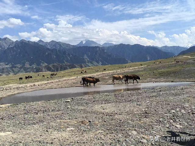 独库公路记忆 || 井明新