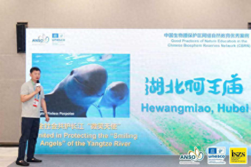 从长江故道到世界舞台：一群江豚如何成为国际明星？