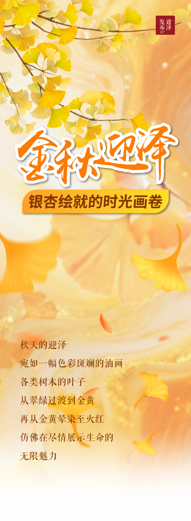 太原市迎泽区：金秋迎泽｜银杏绘就的时光画卷