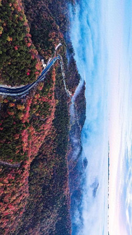 美到窒息！太行一号旅游公路铺开秋日油画长卷