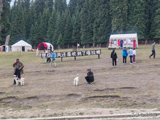 新疆之旅第六天：喀拉峻的草原诗篇