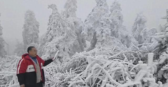 桂北琼枝 雾凇胜雪——黄花岭赏凇