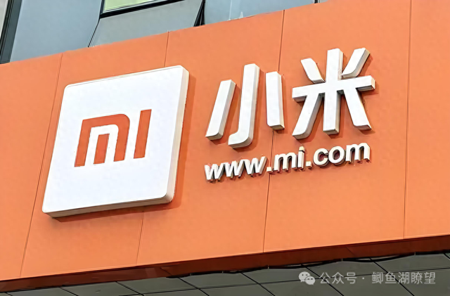豪赌非洲，小米再出海能否规避“滑铁卢”之险