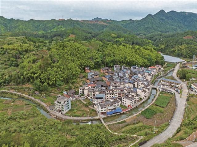 寿宁坝头村：溪声里的畲乡光阴