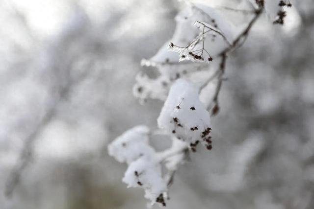 雪落恩施，大峡谷与坪坝营开启仙境模式！