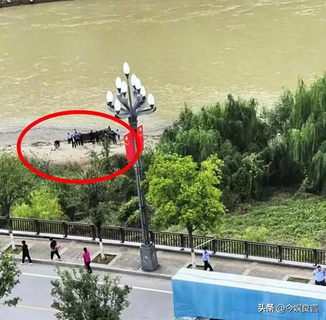 确认死亡！陕西新郎遗体被找到，身上穿喜服，女方：同意去看周某