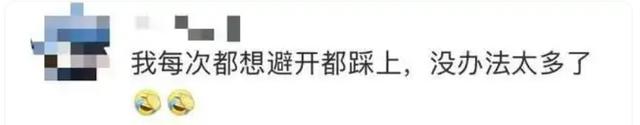 广东街头出现的这种“黑珍珠”，不要踩！