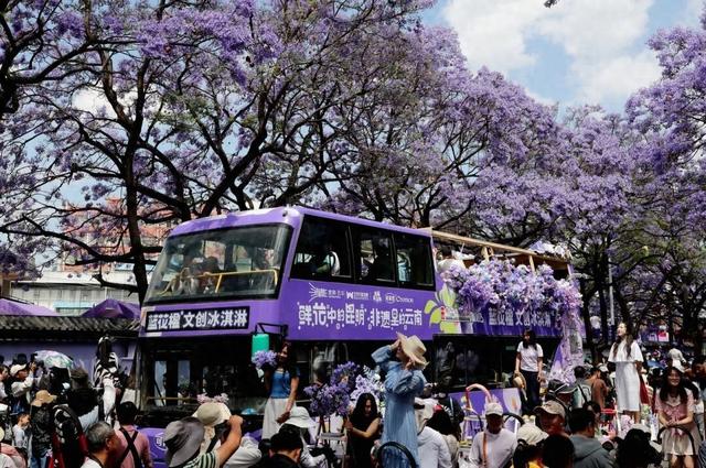 中转长水机场乘客请注意 有免费观光车直通教场中路蓝花楹花海