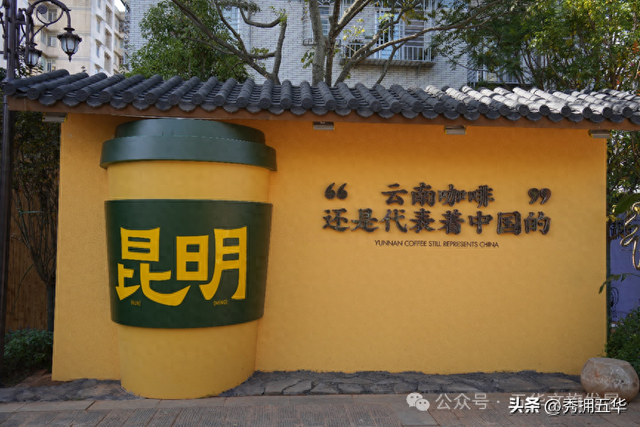 在翠湖与老街之间，生长出的昆明慢生活样本