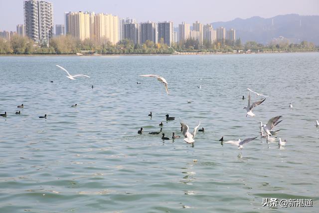 邂逅浪漫秋日，汉中展开超美自然画卷