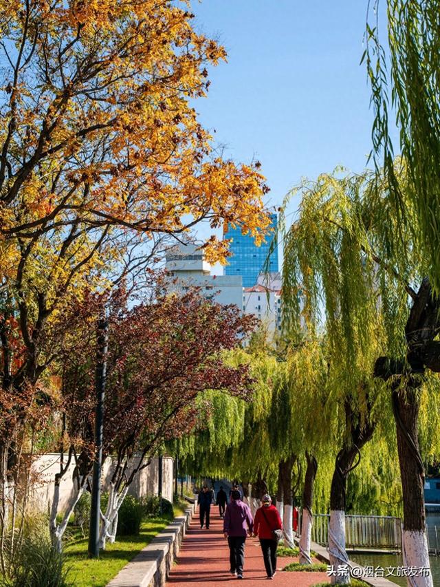 【乐游烟台】一键收藏！烟台Parkwalk也太太太出片了