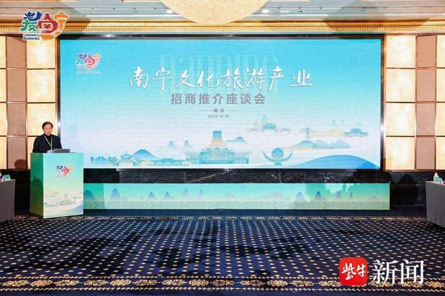 掘金文旅蓝海！南宁携六大前沿方向赴南京招商推介