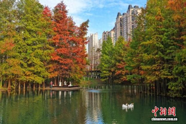 湖北宜昌：彩林碧水醉游人