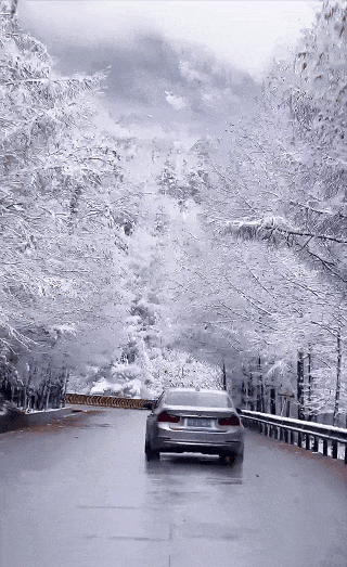 接下来的光雾山，四川人必游！耍雪、赏雪，一次性拿捏多重快乐～