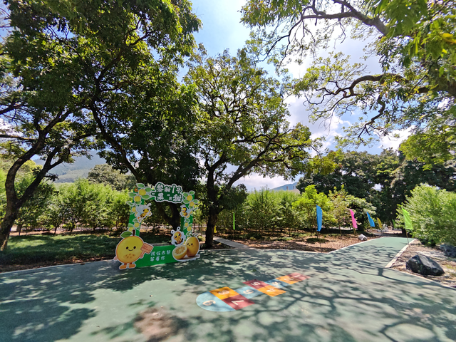 云城区高峰街道：绿荫下的赤黎村