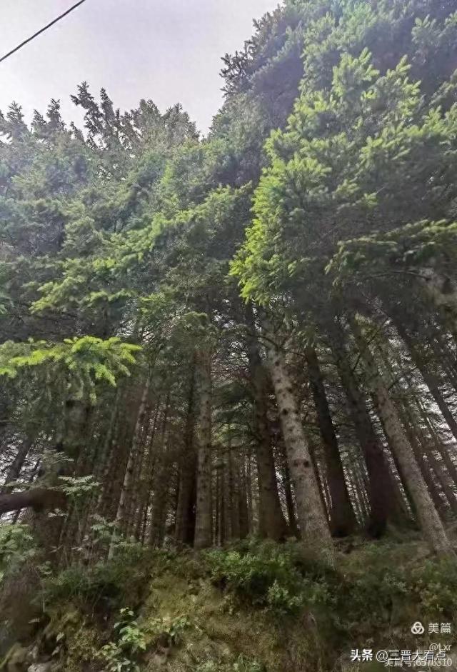 北欧旅游印象之十一：哈当厄尔峡湾苹果园
