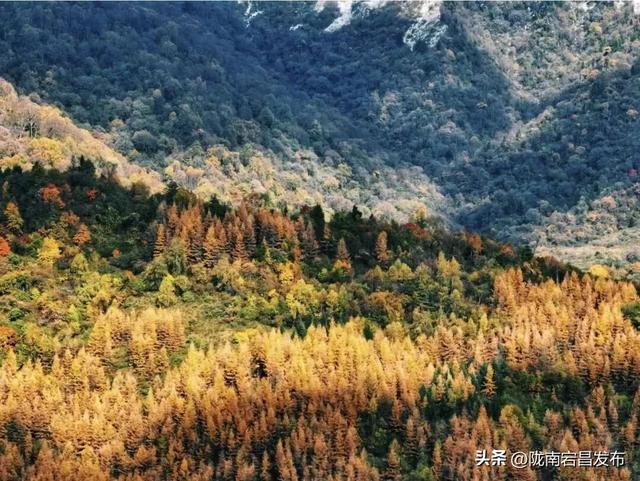 陇原赏秋韵·相约官鹅沟 | 雷古山：一首壮阔的秋日诗篇