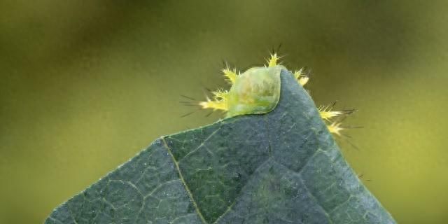 如果为人父母做不到托举自己的孩子，那么请不要贬低孩子