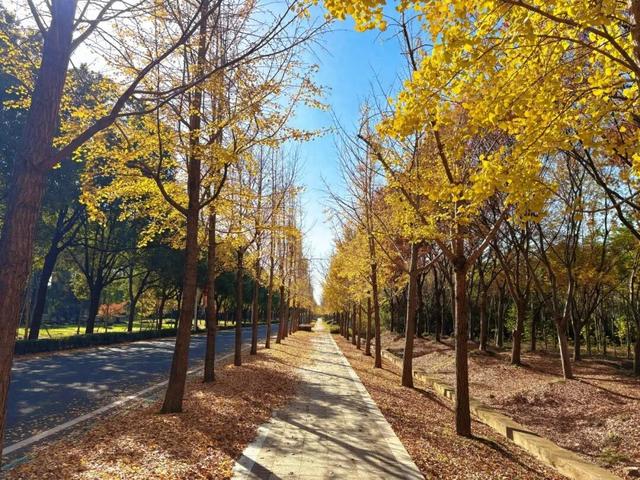 丹徒这几条路，真不想让太多人知道！