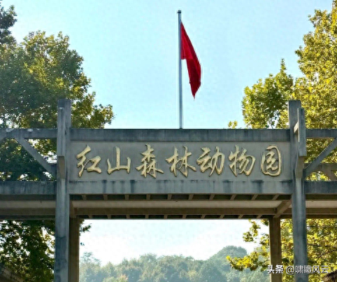 红山动物园何以成为动物园界的顶流网红？