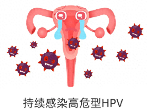 二价与四价九价宫颈癌疫苗的区别（HPV疫苗全知道二价四价和九价有何不同这篇科普告诉你答案）