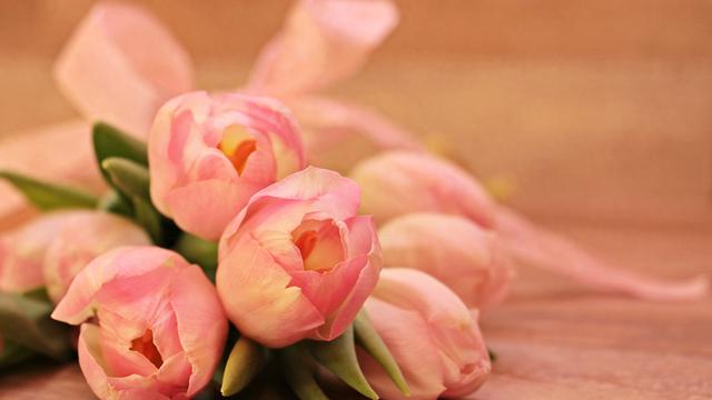 属猪，11月26号至30日会有事发生	，你知道了吗？