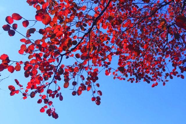 致敬时代记录者 ┃中国记者节熊耳山专属邀约