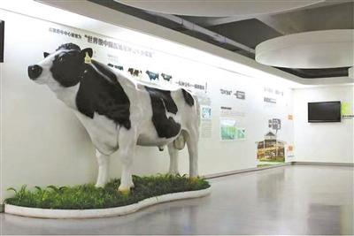 北京文旅再添新打卡地 11家工业旅游示范点亮相