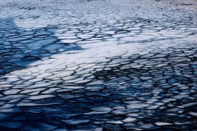 长春惊现“龙鳞”！