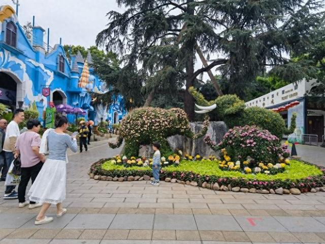 昆明动物园2025年金秋菊展营造沉浸式游园体验