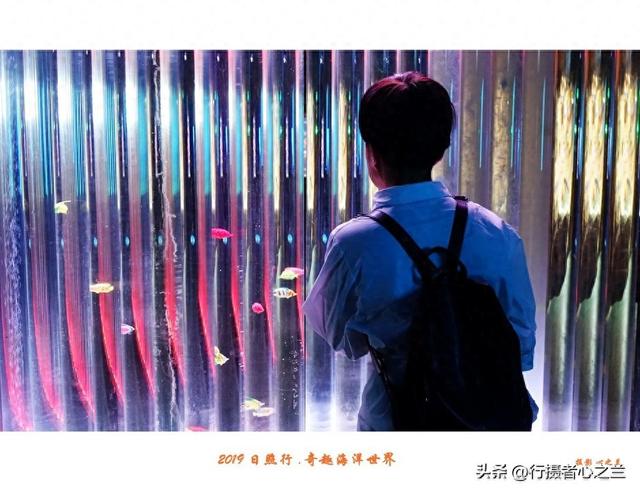 山东行游影记（91）—日照奇趣海洋世界（二）