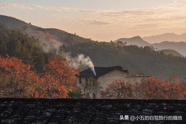 宁德屏南赏柿攻略！福州 2h 直达，3 个古村一日游，满村红柿超治愈