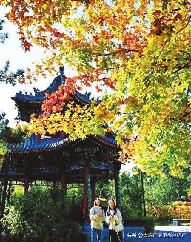 公园美如画 游客惬意游