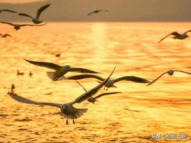 太湖水质，历史最优！