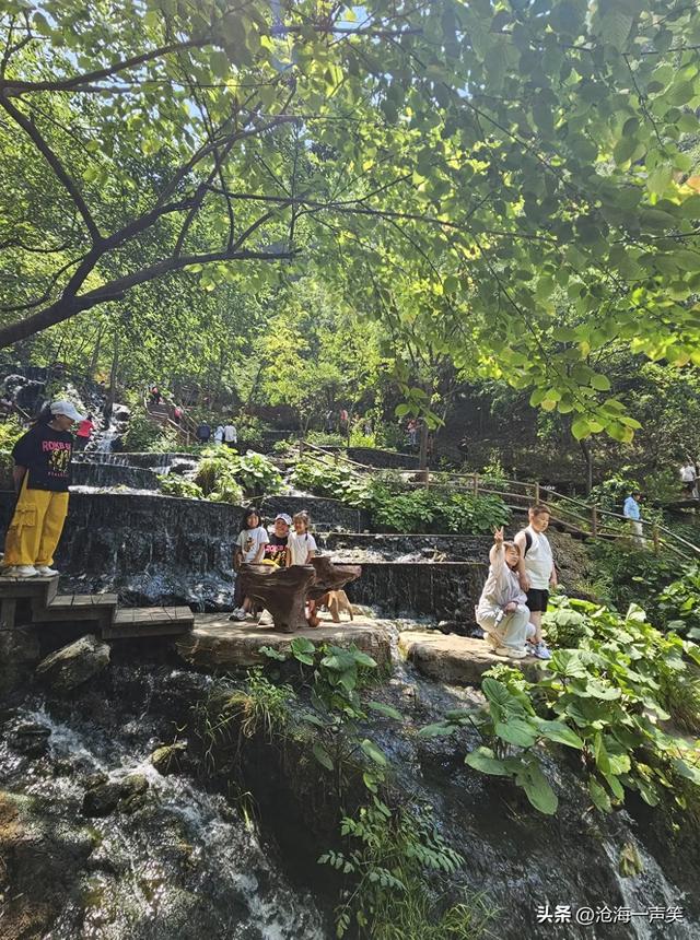 请河南的朋友猜一猜这是哪里的4A级景区，避暑胜地，森林密布