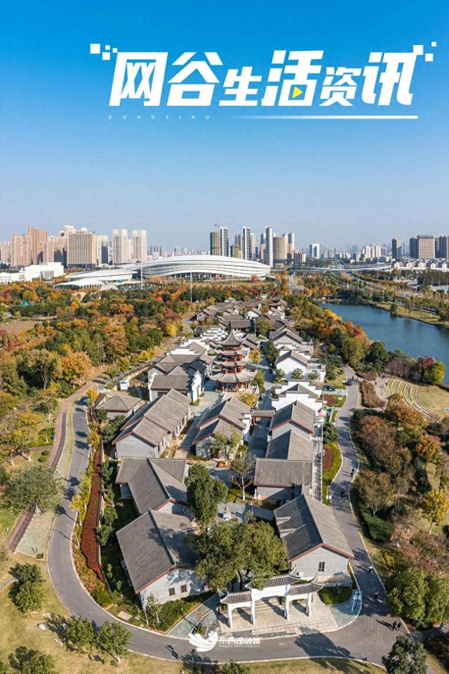 秋日胜春朝？还得看东西湖！