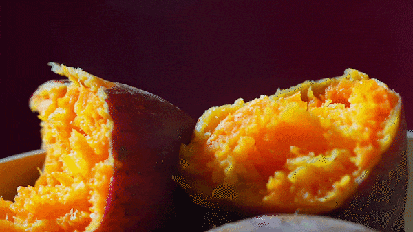 前锋三九银田南药园正式上线“乐游广东”文旅地图！