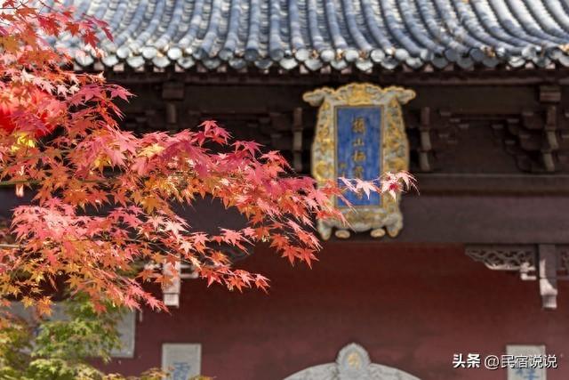 南京此地的秋意拉满了，不是栖霞山！