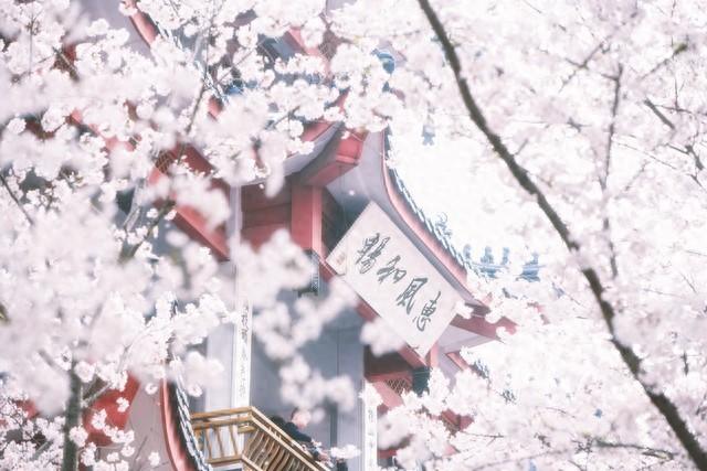 描写人物特点的作文（3篇关于人物的小学作文）