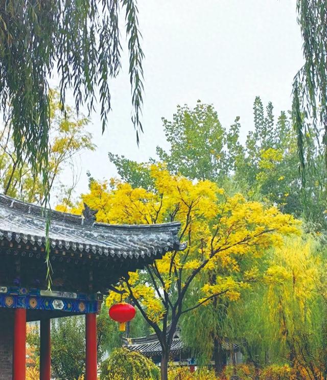 太原秋日美