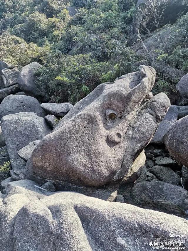 温州最经典最热门的峡谷，以鱼类造型为主题的天然巨石阵，等你来