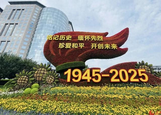 花坛见证：和平与记忆在大地上绽放