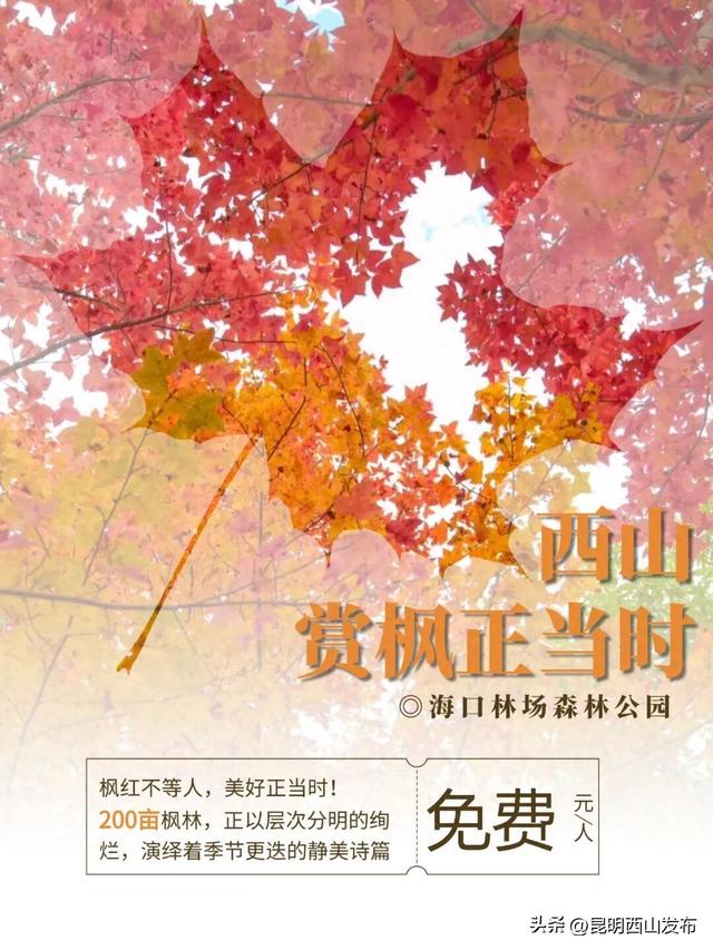 昆明拟新增8家国家3A级旅游景区 西山区有……