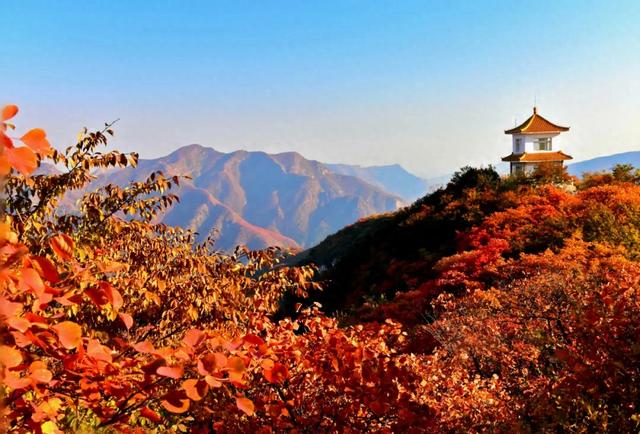 北京香山红叶季来了,但99%的人都去错了时间