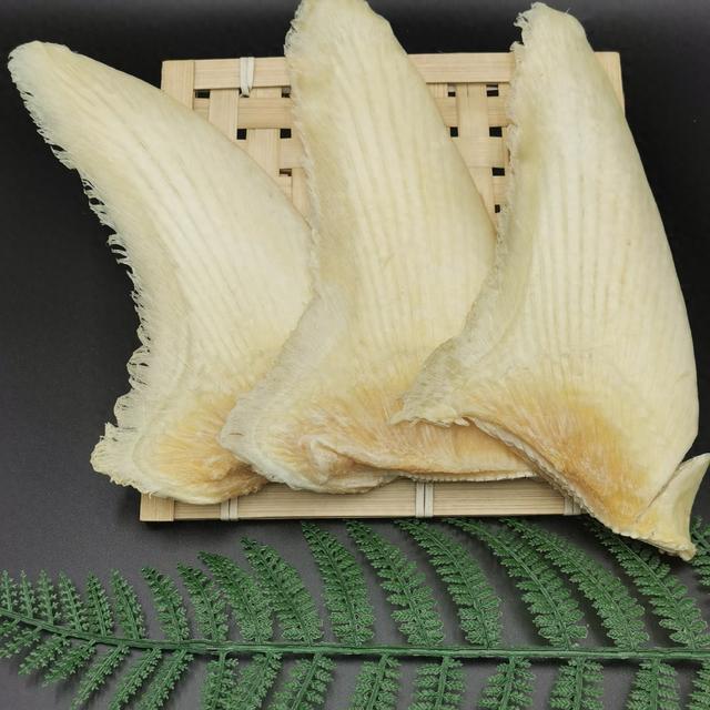 发鱼翅的正确方法 2026年如何泡发鱼翅的正确方法