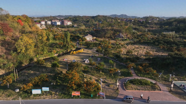 南丰：“桔园游”开启游客甜蜜之旅