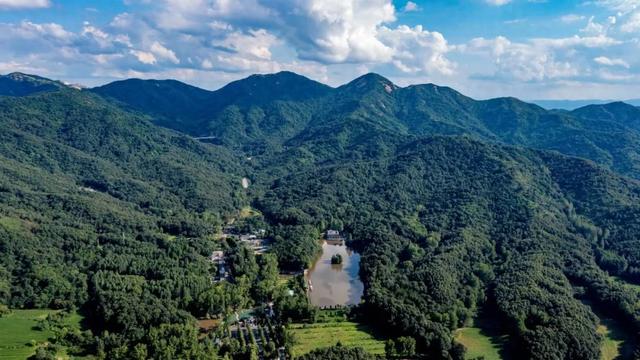 记者们快看——金顶山免门票专属权益!