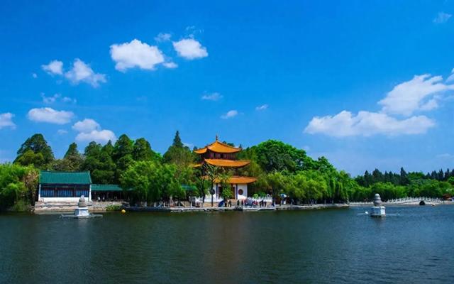 被昆明“惯坏”了：不止避暑，10块抱走一捆花，菌子鲜到吞舌头！