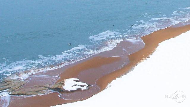 诗意之冬醉威海 | 嗨玩冬日·冰雪奇缘之旅